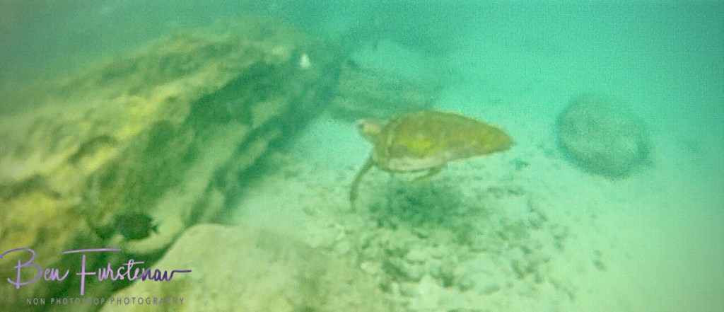 Santa Carolina, Vilankulus, Mozambique, Africa