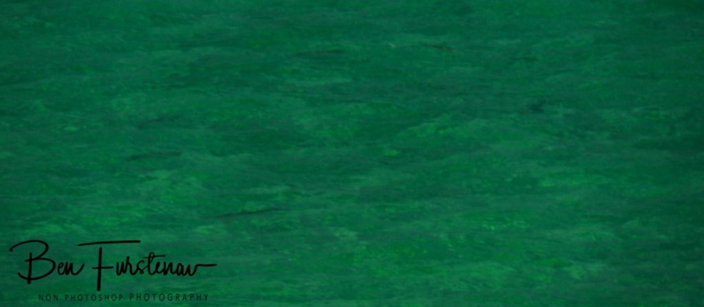 Santa Carolina, Vilankulus, Mozambique, Africa