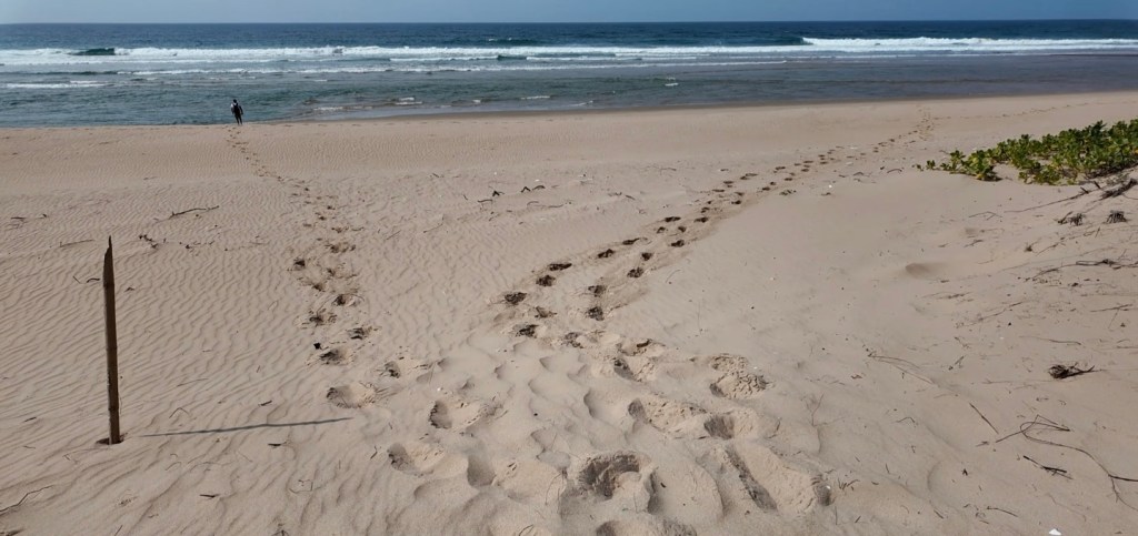 Machangulo Peninsula, Mozambique, Africa
