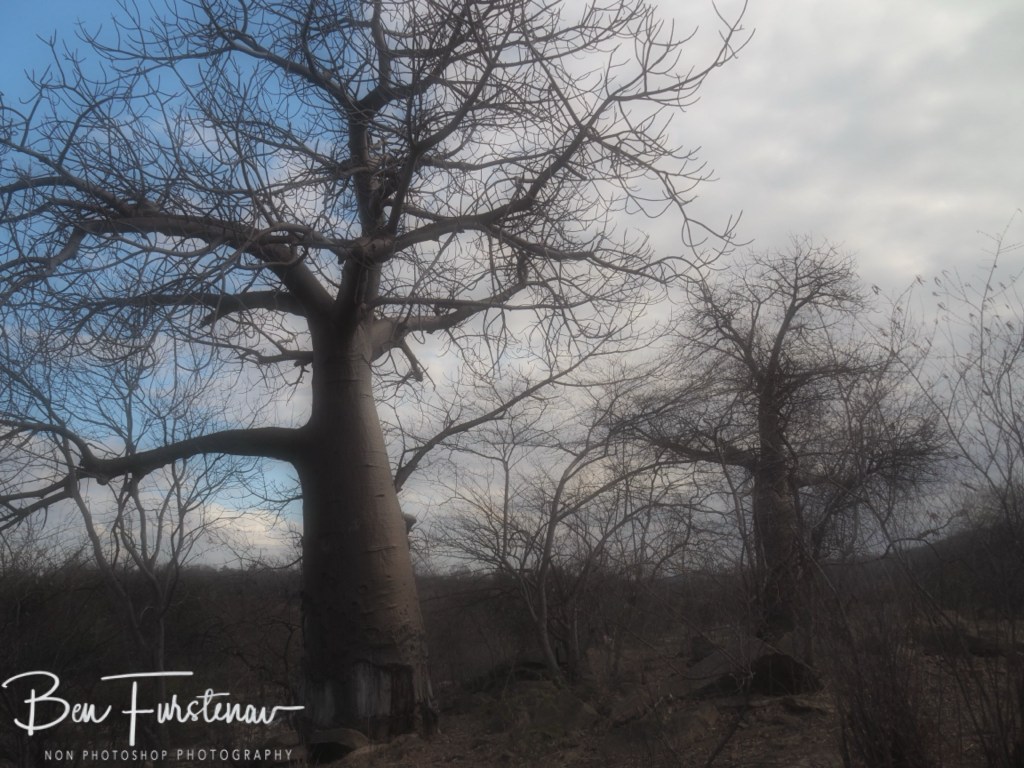 Manica Province, Mozambique, Africa