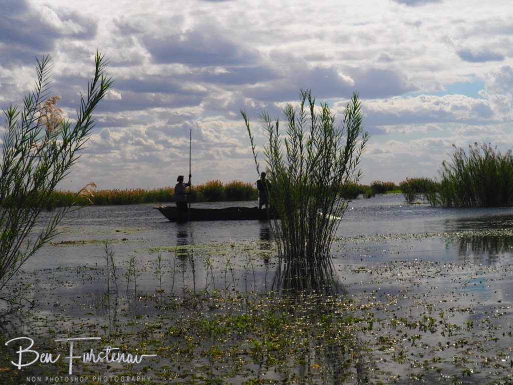 Majete Wildlife Reserve, Malawi, Africa