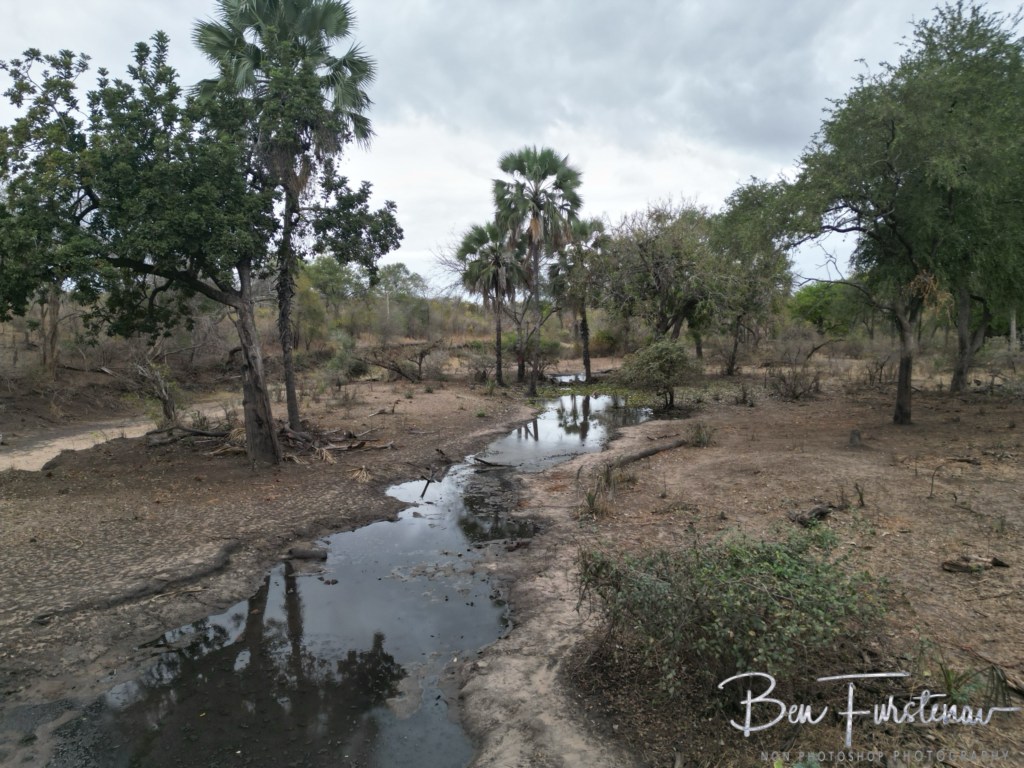 Majete Wildlife Reserve, Malawi, Africa