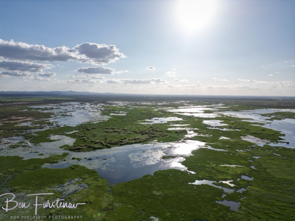 Elephant Marsh Reserve, Southern Malawi, Africa