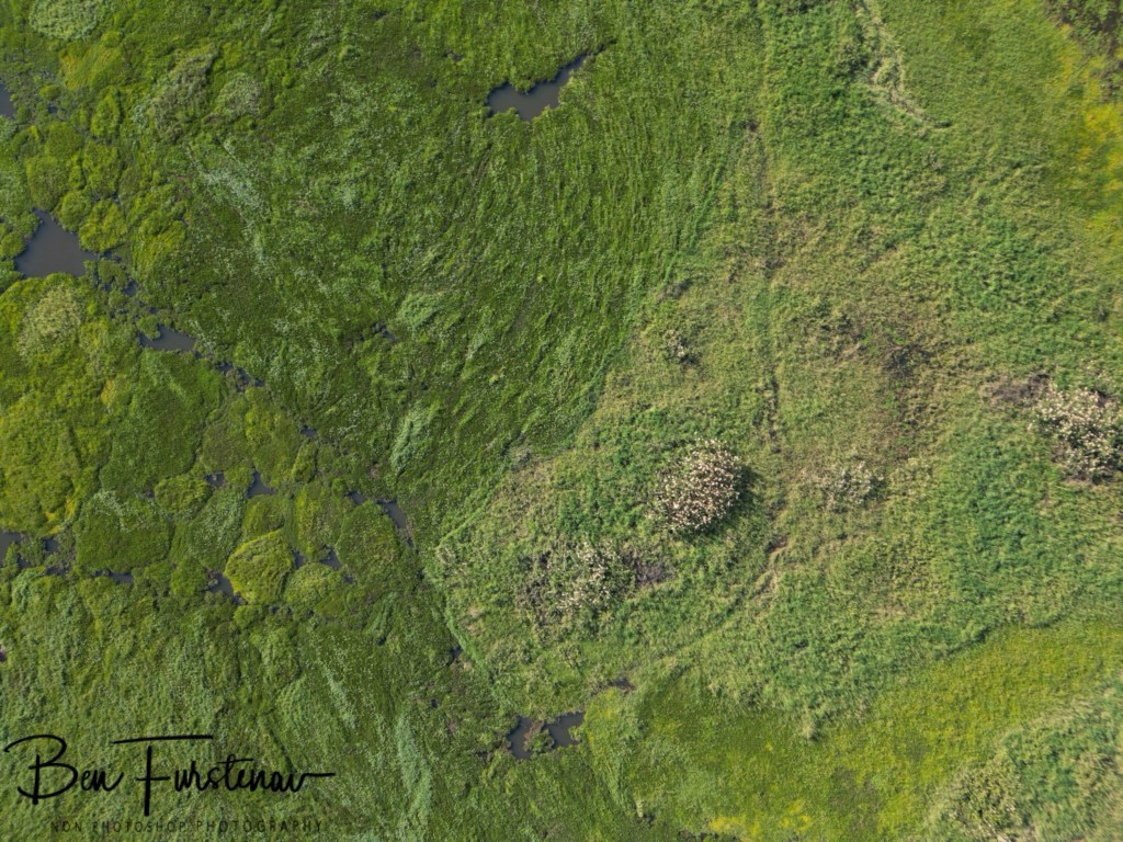 Elephant Marsh Reserve, Southern Malawi, Africa