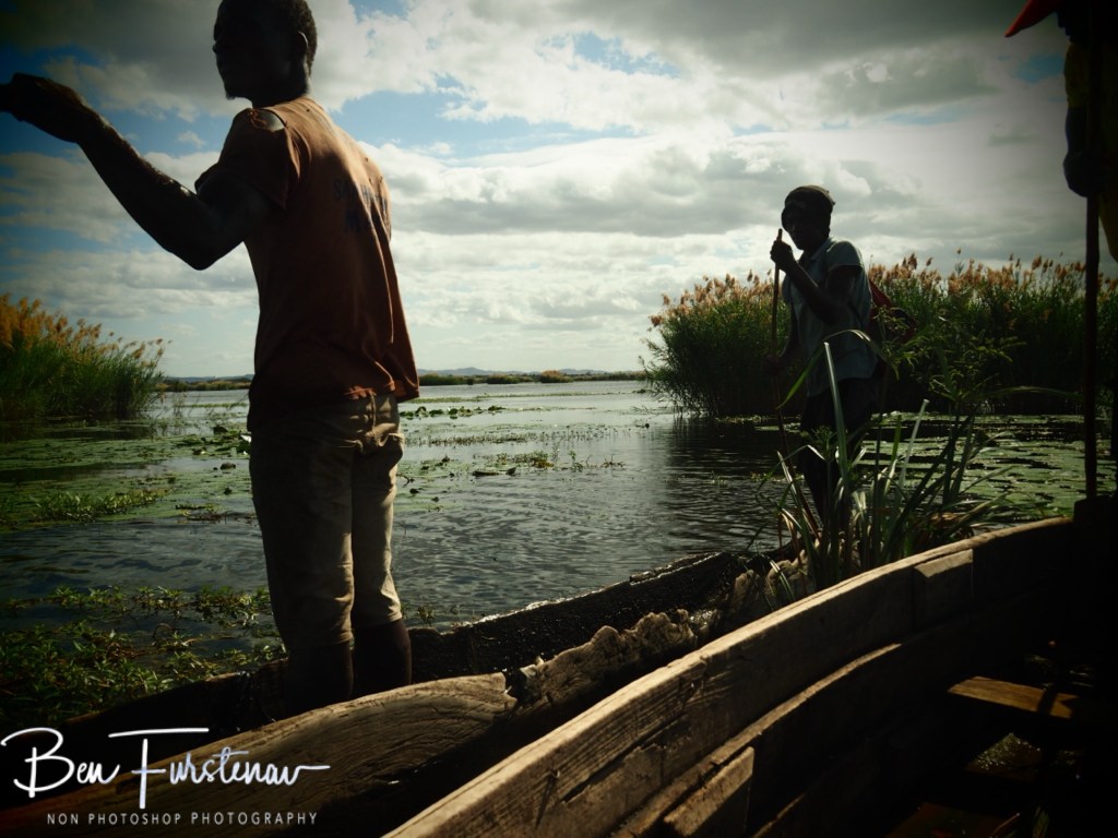 Elephant Marsh Reserve, Southern Malawi, Africa