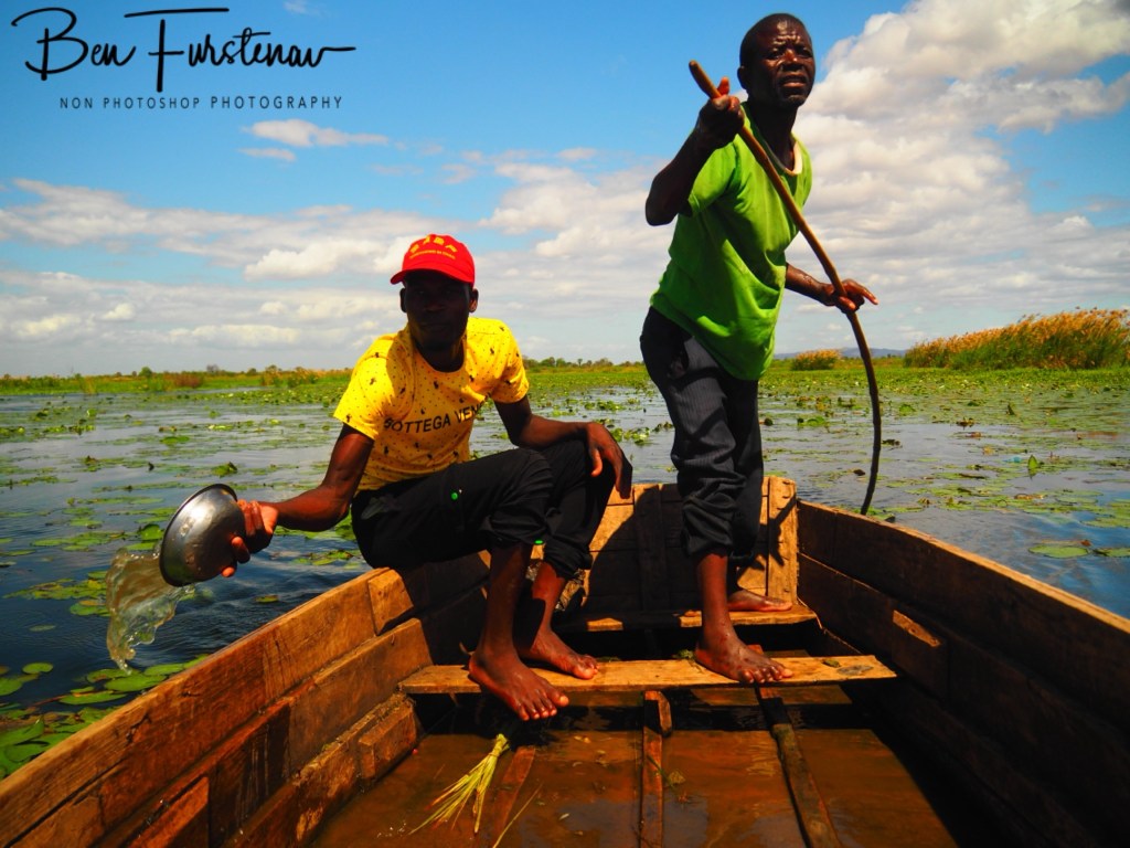 Elephant Marsh Reserve, Southern Malawi, Africa