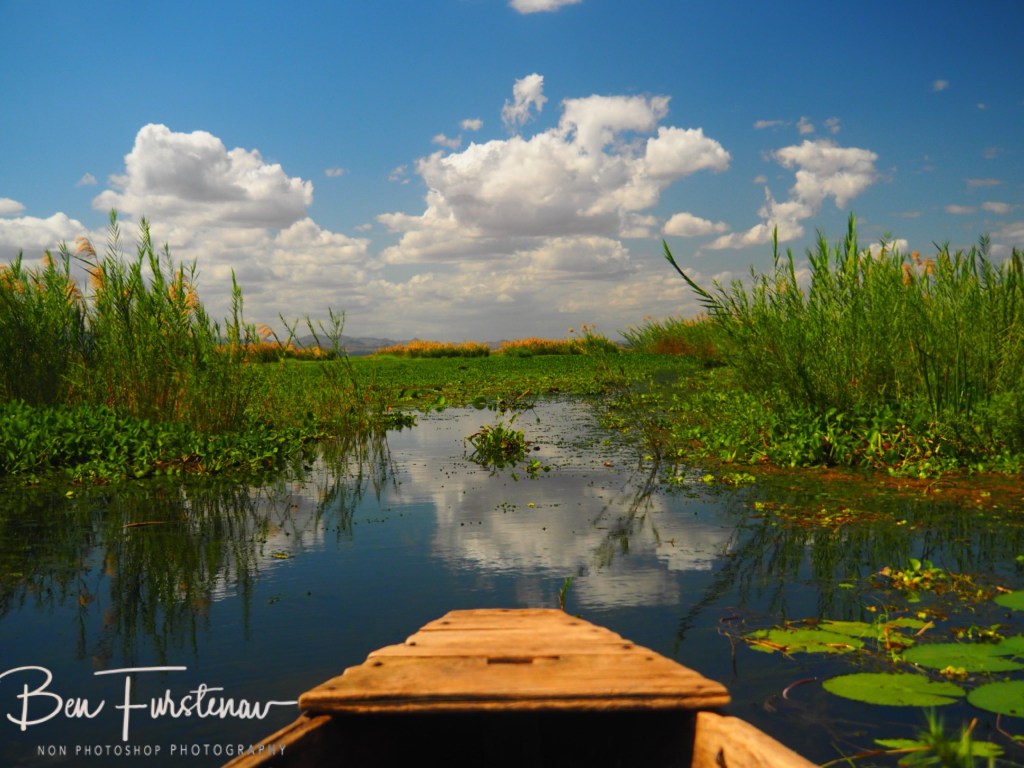 Elephant Marsh Reserve, Southern Malawi, Africa