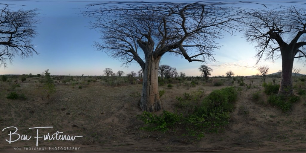 Mvabvi National Park, Southern Malawi, Africa