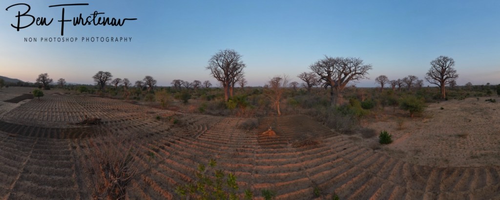 Mvabvi National Park, Southern Malawi, Africa
