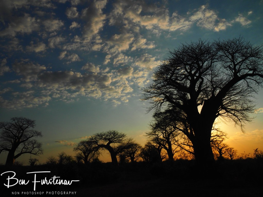 Mvabvi National Park, Southern Malawi, Africa