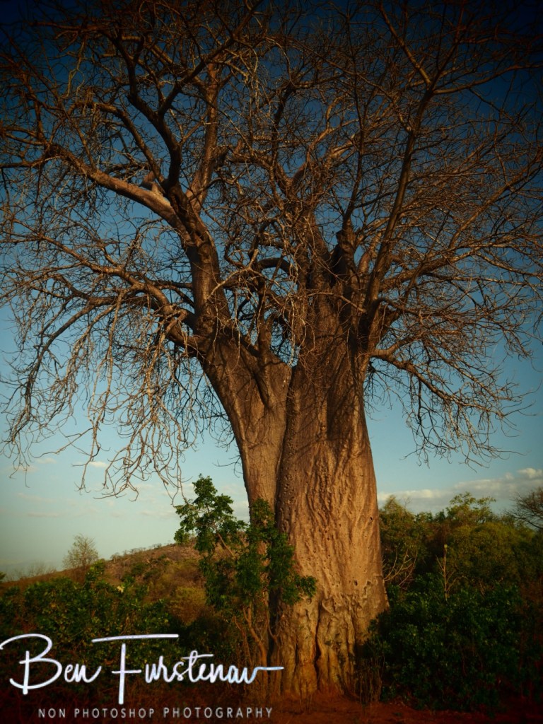 Mvabvi National Park, Southern Malawi, Africa