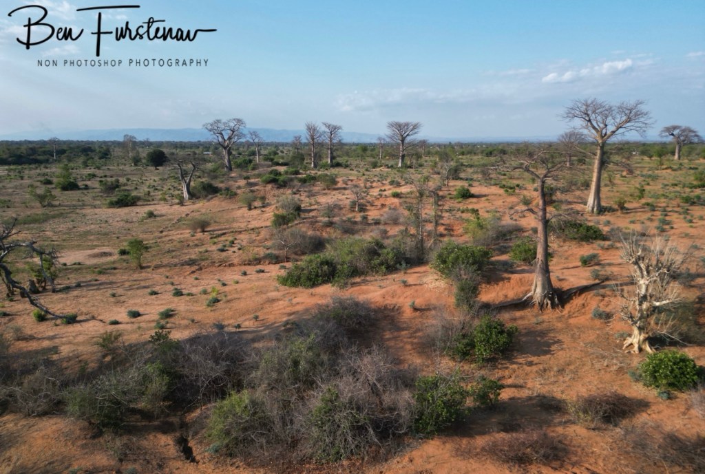 Mvabvi National Park, Southern Malawi, Africa