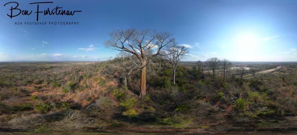 Mvabvi National Park, Southern Malawi, Africa