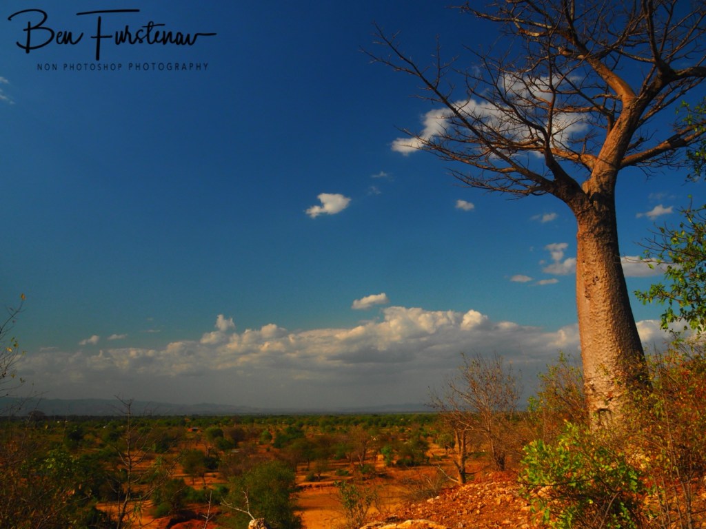 Mvabvi National Park, Southern Malawi, Africa