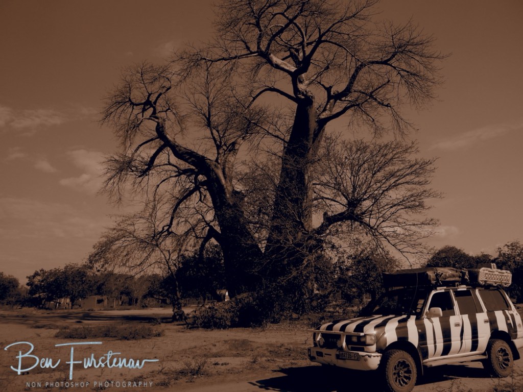 Mvabvi National Park, Southern Malawi, Africa