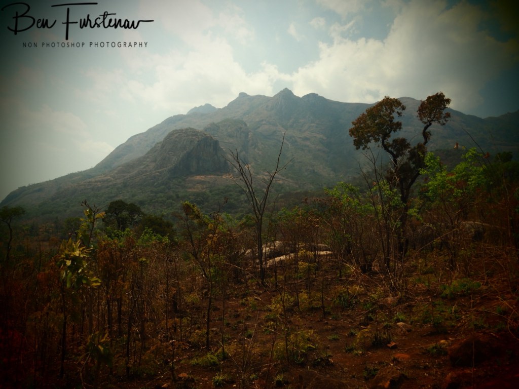 Mulanje Mountains, Southern Malawi, Africa 