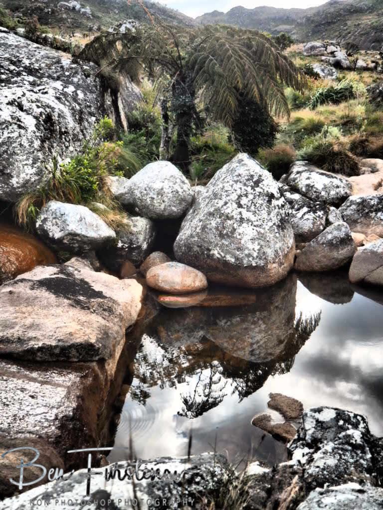 Mulanje Mountains, Southern Malawi, Africa 