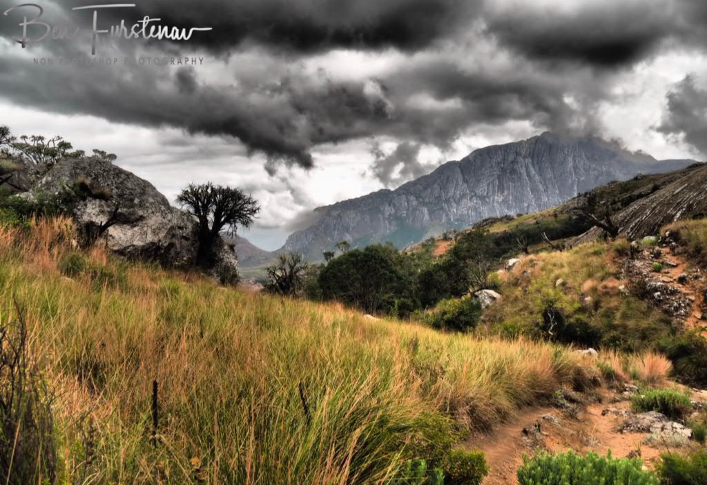 Mulanje Mountains, Southern Malawi, Africa 