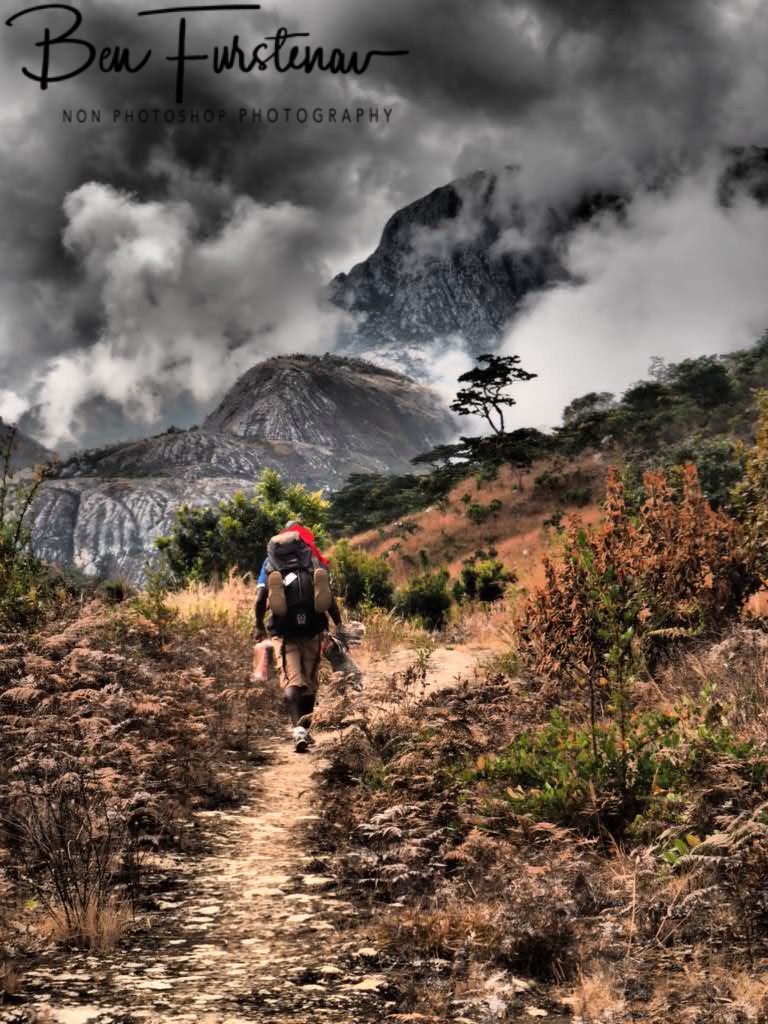 Mulanje Mountains, Southern Malawi, Africa 