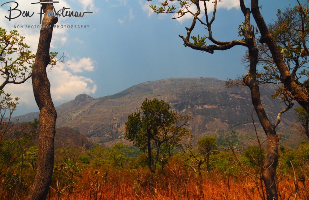 Mulanje Mountains, Southern Malawi, Africa