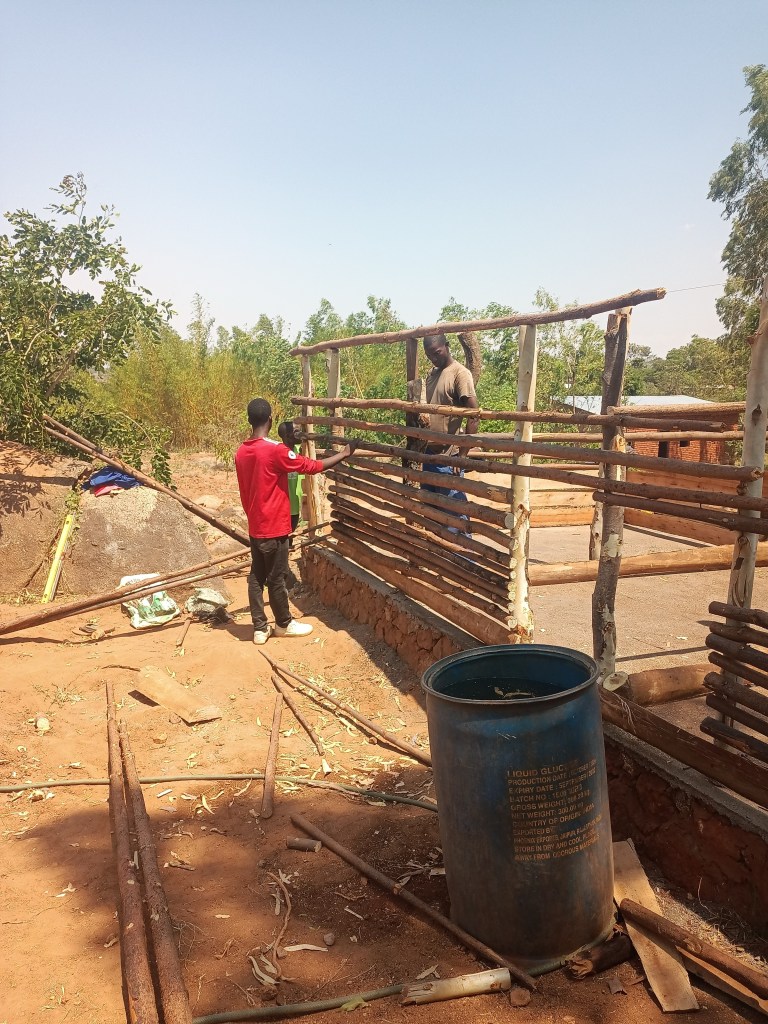 Likabulu, Mulanje Mountains, Southern Malawi, Africa