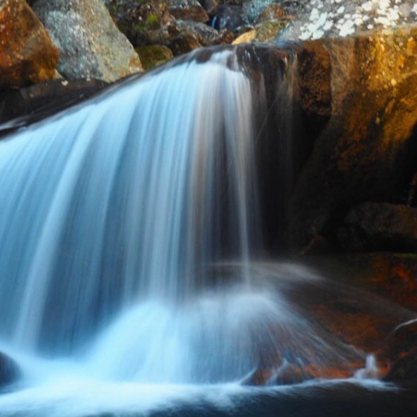 Mulanje Mountains, Southern Malawi, Africa