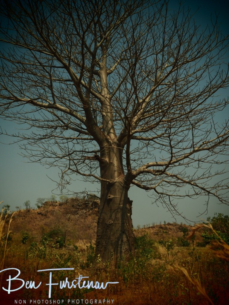 Northern Majete Region, Malawi, Africa