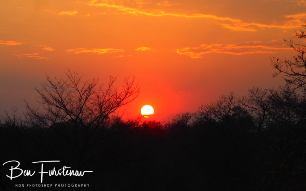 Majete Wildlife Reserve, Malawi, Africa