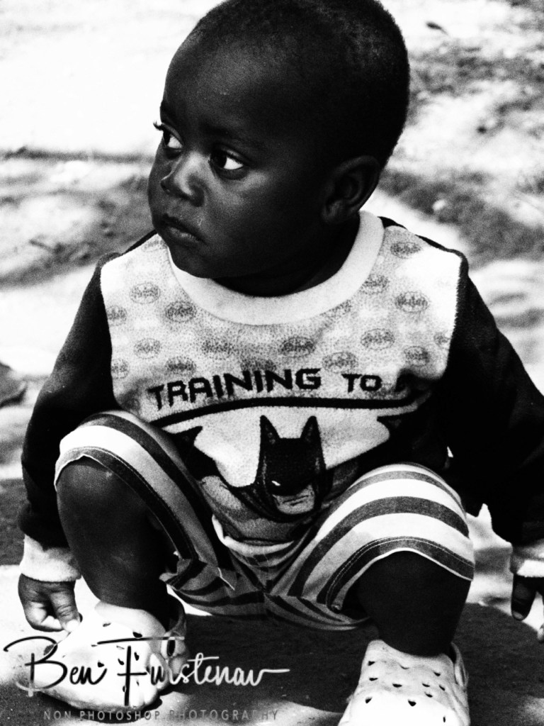 Majete Wildlife Reserve, Malawi, Africa