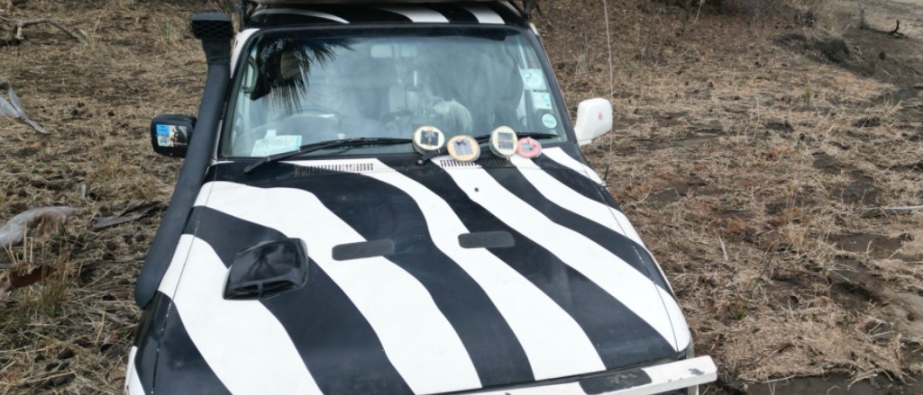 Majete Wildlife Reserve, Malawi, Africa