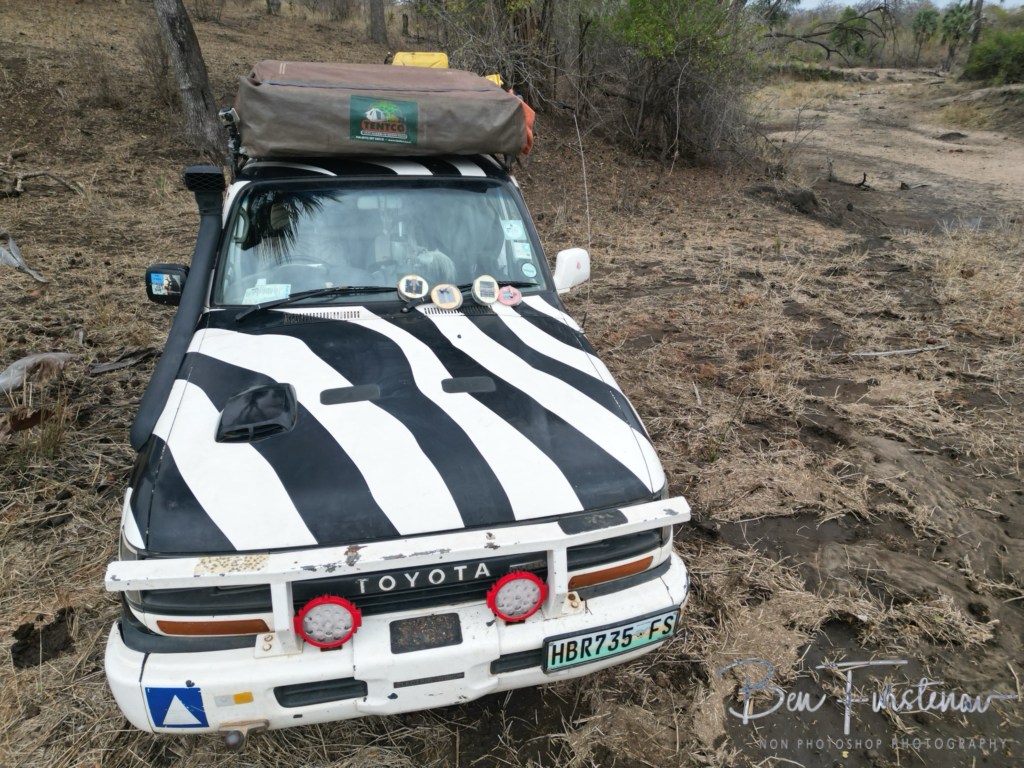Majete Wildlife Reserve, Malawi, Africa