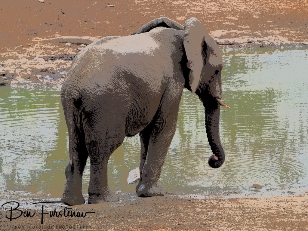 Majete Wildlife Reserve, Malawi, Africa