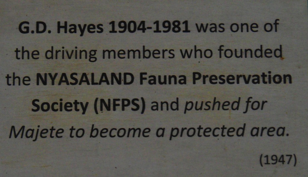 Majete Wildlife Reserve, Malawi, Africa