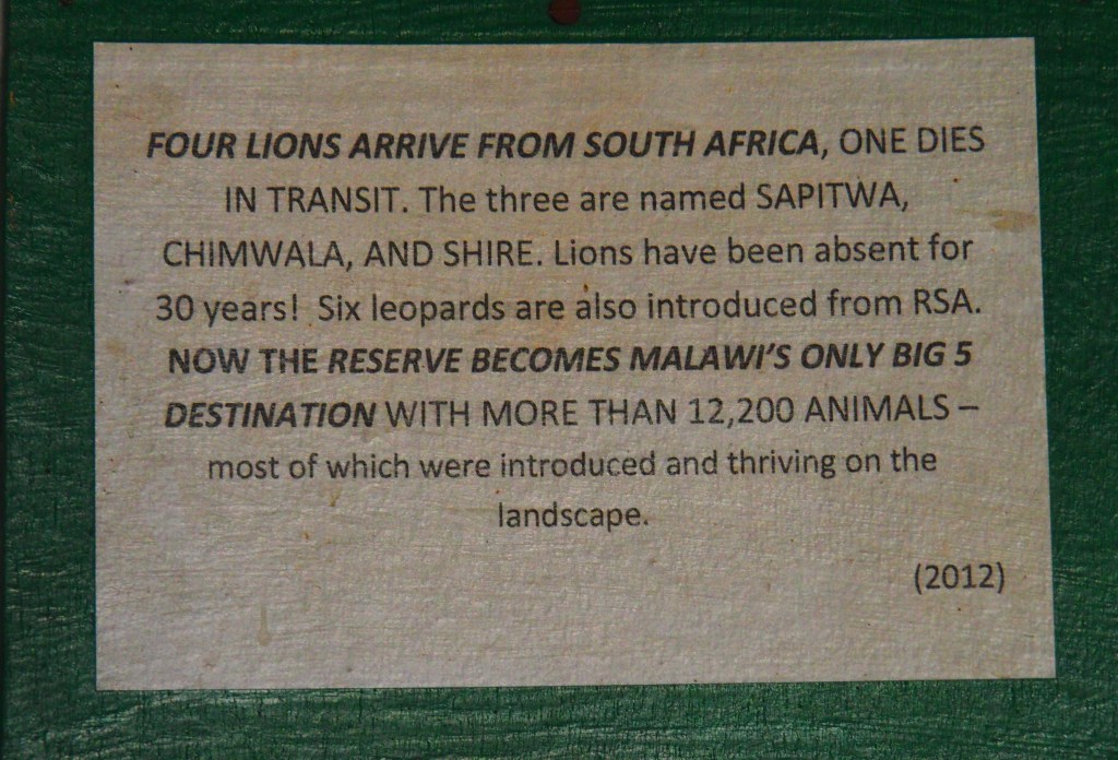 Majete Wildlife Reserve, Malawi, Africa