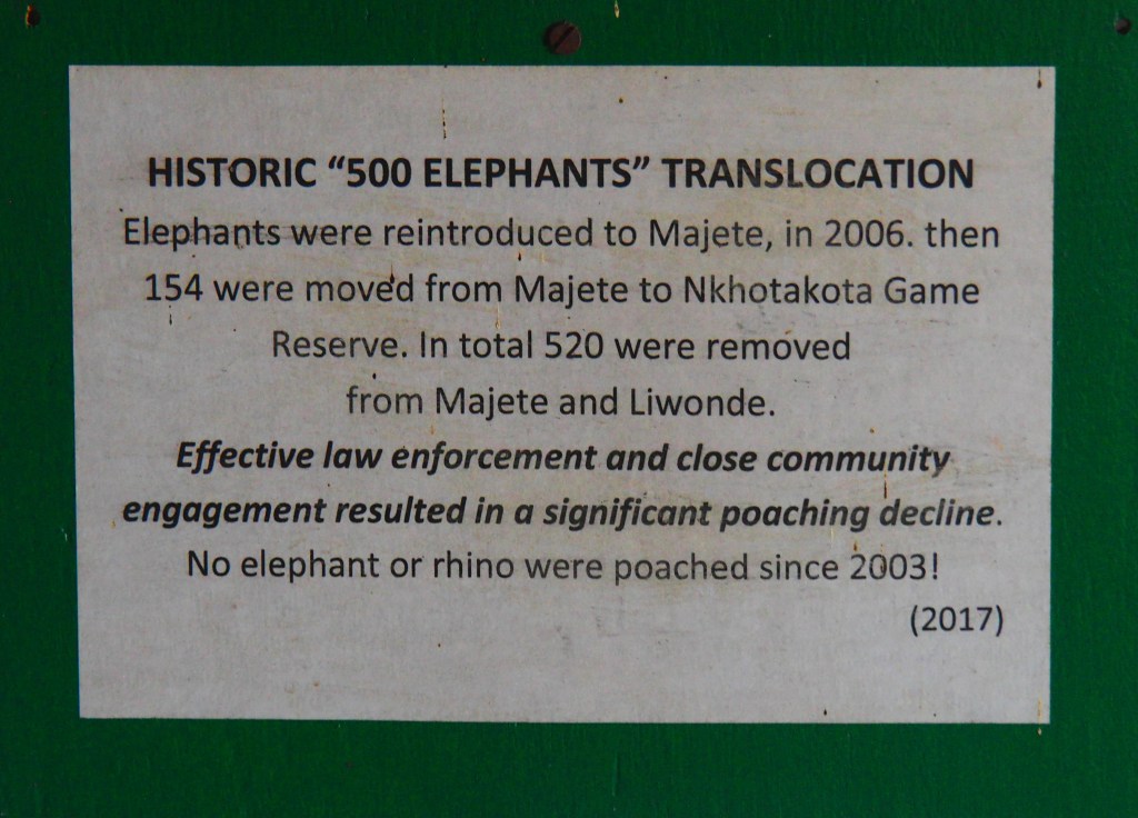 Majete Wildlife Reserve, Malawi, Africa