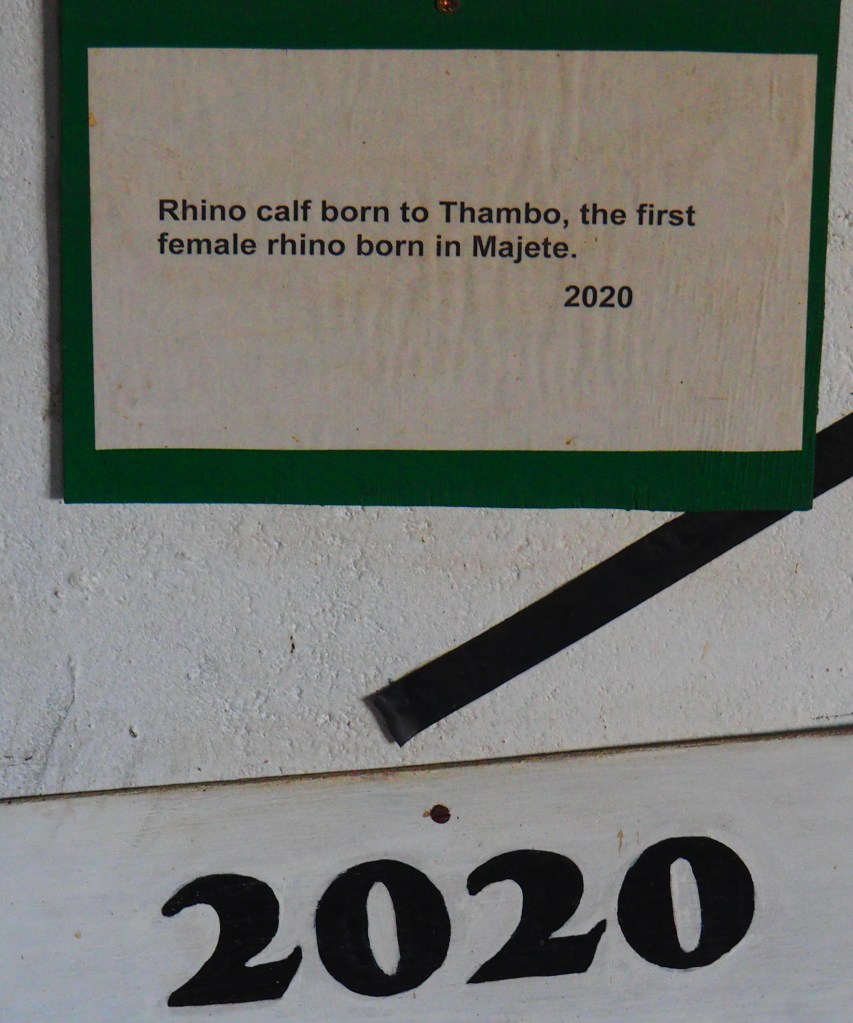 Majete Wildlife Reserve, Malawi, Africa