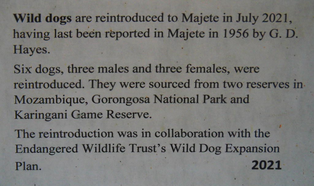 Majete Wildlife Reserve, Malawi, Africa