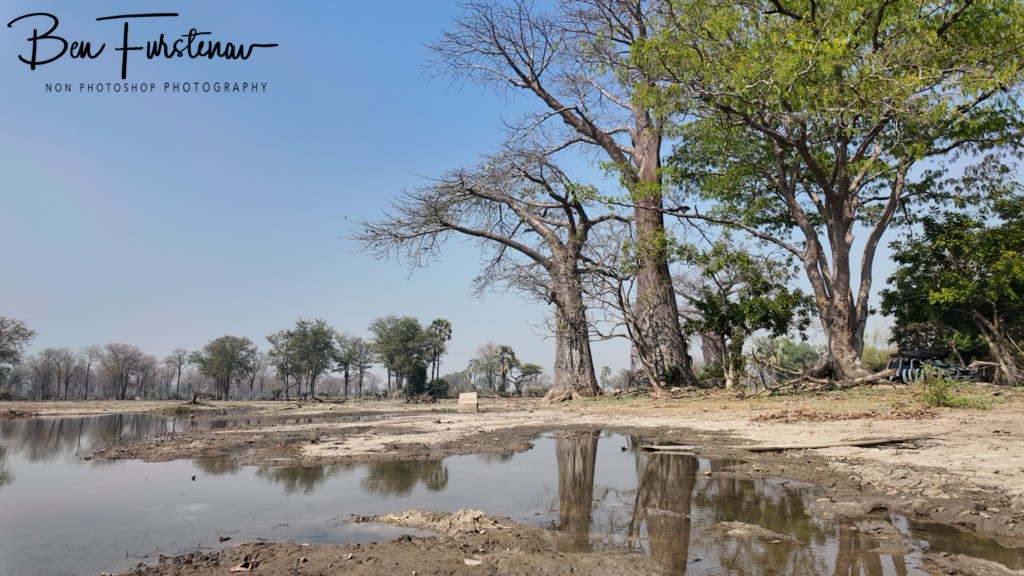 Liwonde National Park, Southern Malawi, Africa