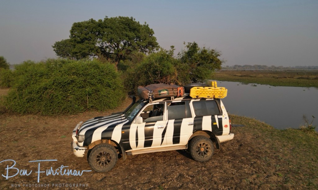 Liwonde National Park, Southern Malawi, Africa