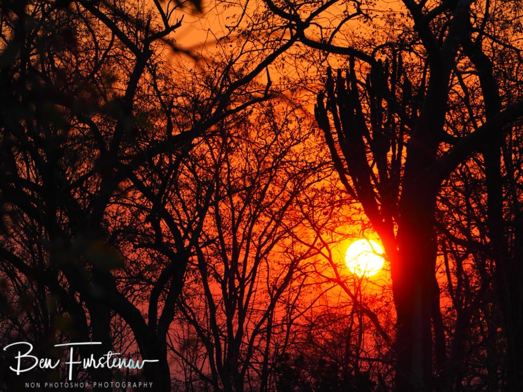 Liwonde National Park, Southern Malawi, Africa