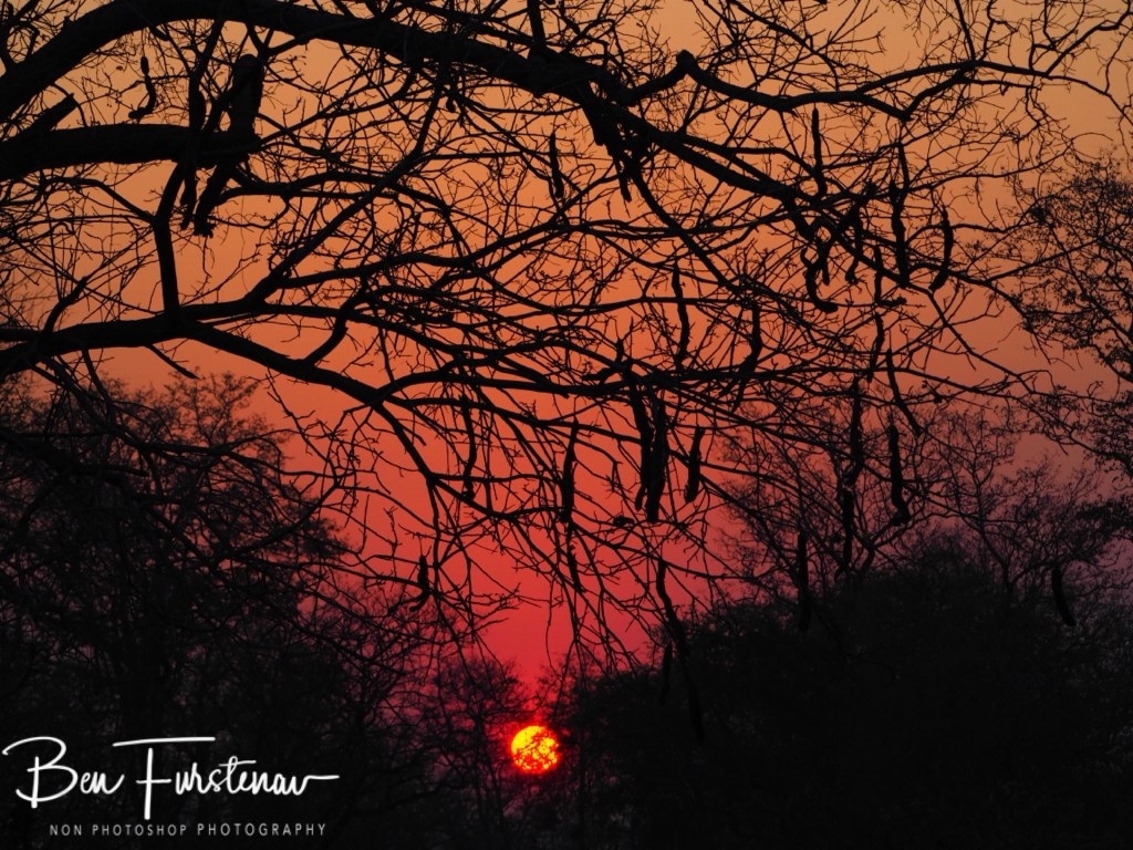 Liwonde National Park, Southern Malawi, Africa