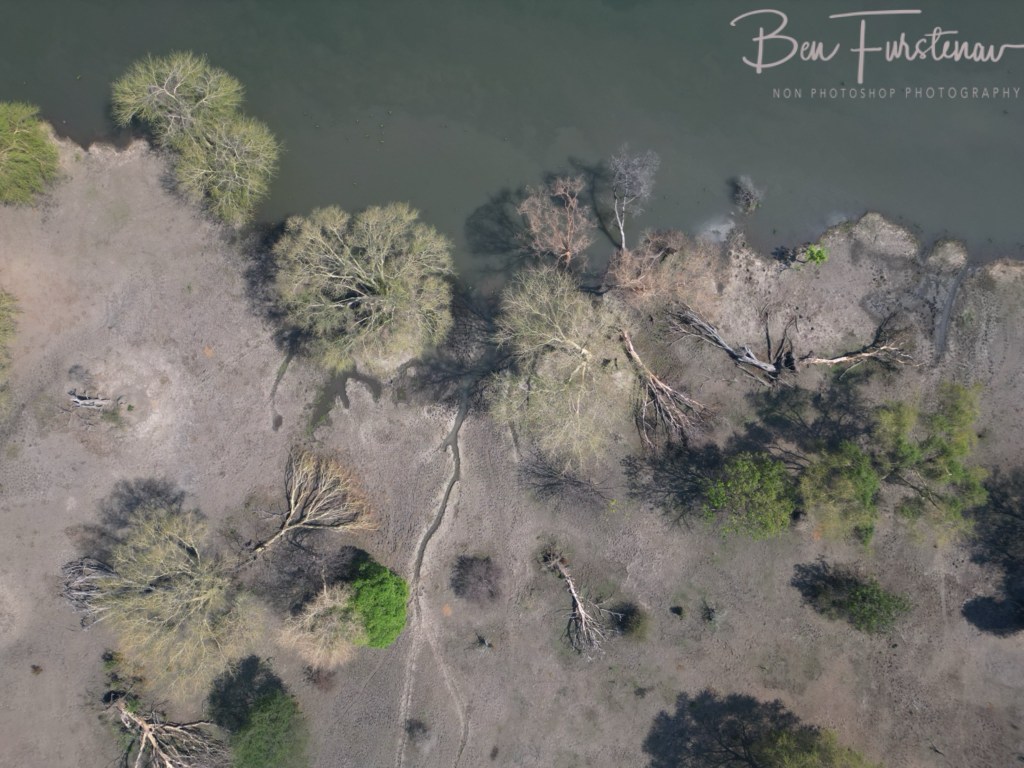 Liwonde National Park, Southern Malawi, Africa