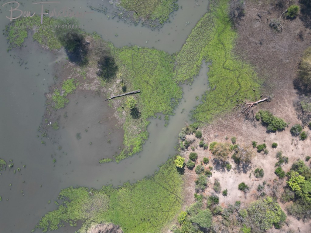Liwonde National Park, Southern Malawi, Africa