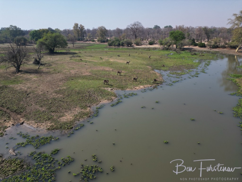 Liwonde National Park, Southern Malawi, Africa