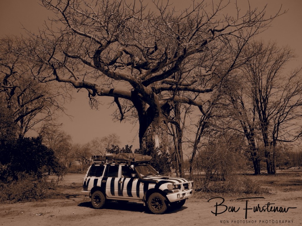 Liwonde National Park, Southern Malawi, Africa