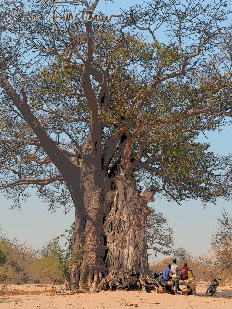 Liwonde National Park, Southern Malawi, Africa