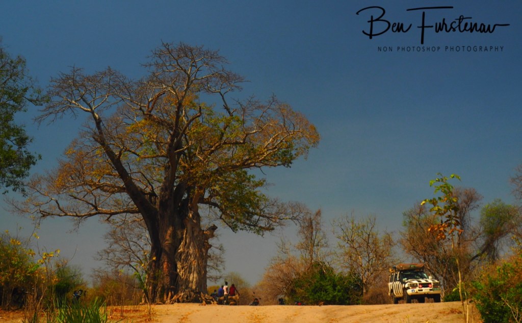 Liwonde National Park, Southern Malawi, Africa