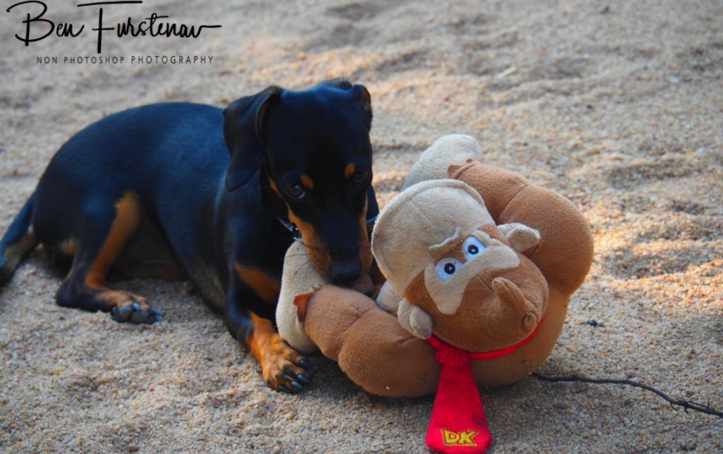 Chembe Village, Cape MacClear, Lake Malawi, Malawi, Africa