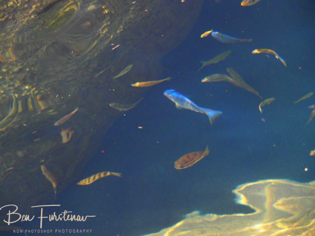Chembe Village, Cape MacClear, Lake Malawi, Malawi, Africa