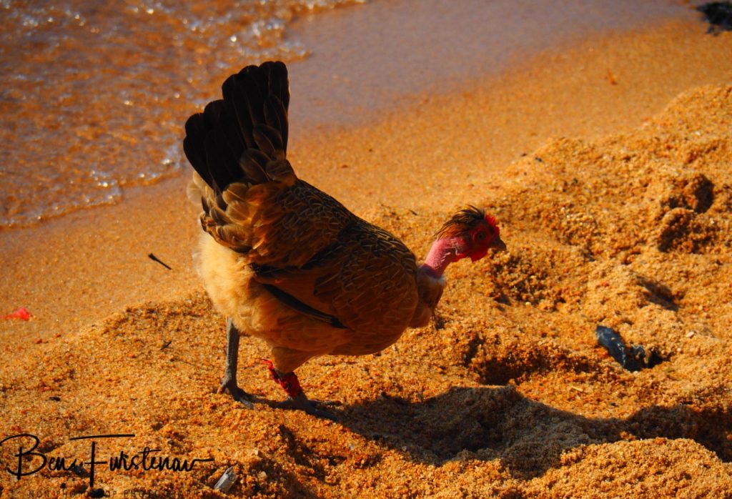 Chembe Village, Cape MacClear, Lake Malawi, Malawi, Africa